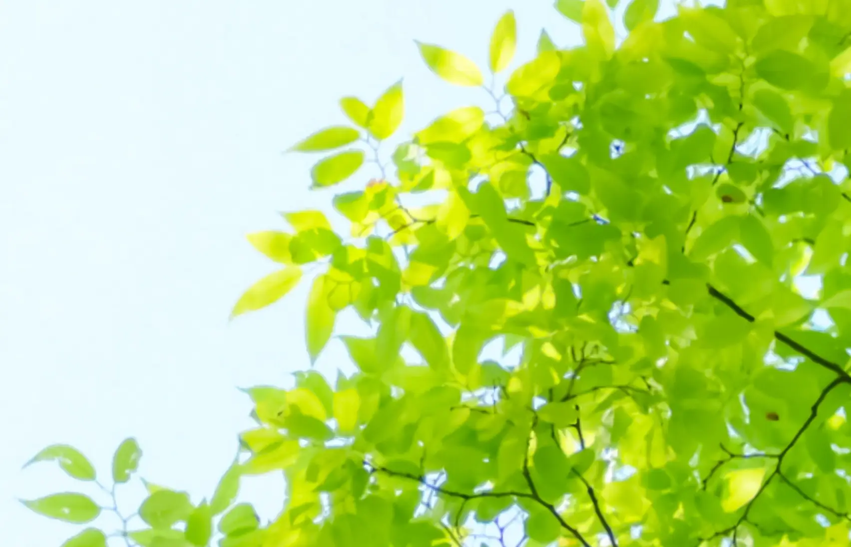 自治体向けサービスのイメージ画像